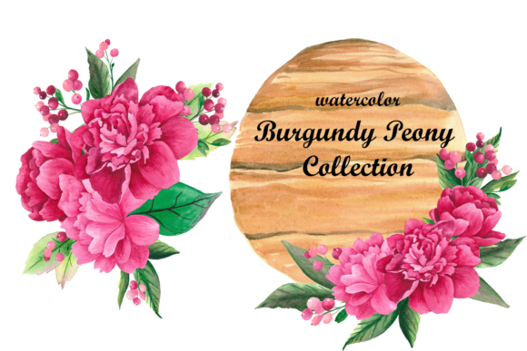 Watercolor Burgundy Peony Flower Clipart: A Versatile Artistic Resource